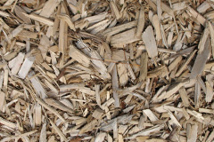 biomass boilers Glanhanog